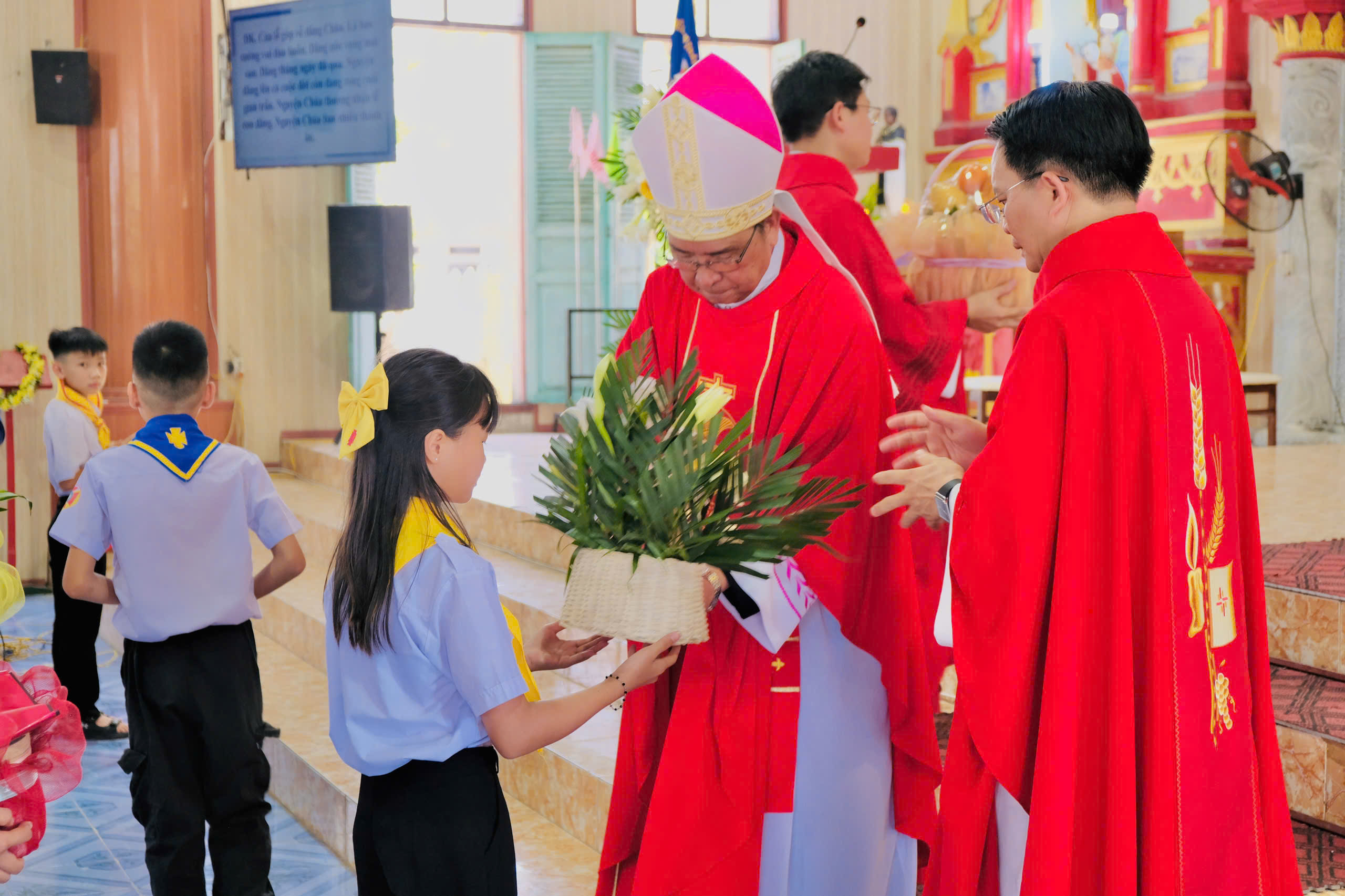 Photo-7
